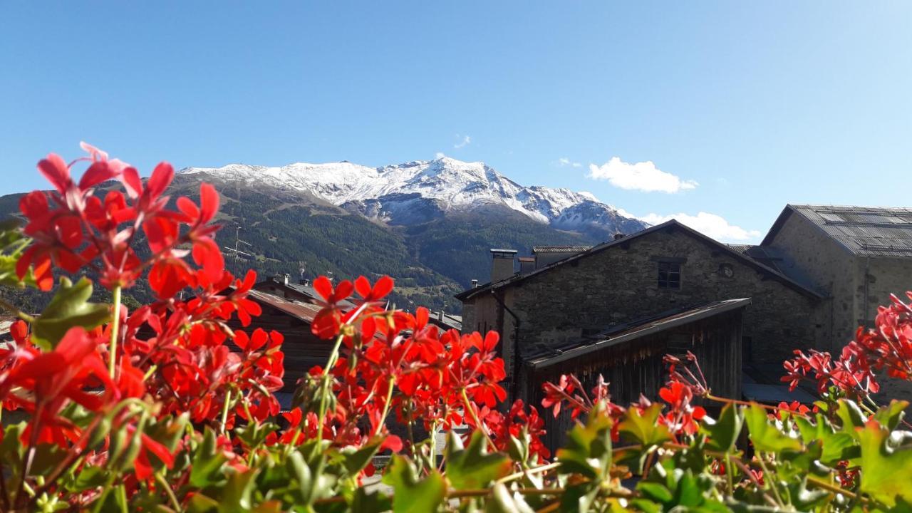 Appartamenti Baita Soliva Oga Esterno foto
